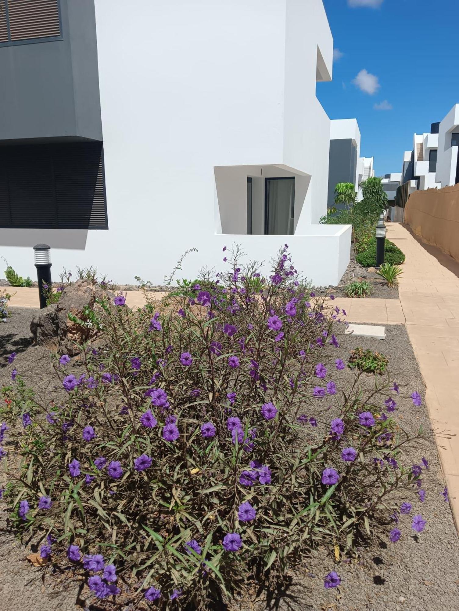 Aulaga Apartment Villaverde  Bagian luar foto